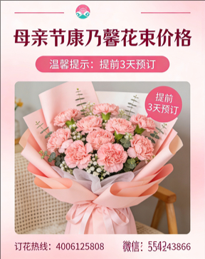 黔南州罗甸县花店母亲节康乃馨花束