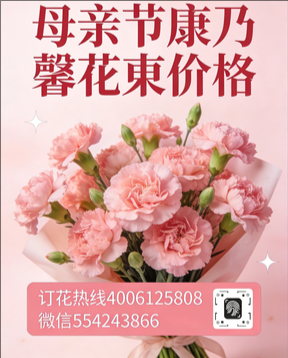 黔南州罗甸县花店母亲节康乃馨花束